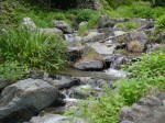 鳥羽川河川公園の写真のサムネイル写真76