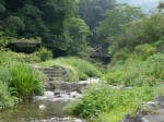 鳥羽川河川公園の写真のサムネイル写真84