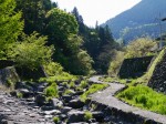 鳥羽川河川公園の写真のサムネイル写真106