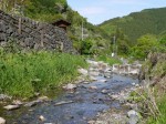 鳥羽川河川公園の写真のサムネイル写真111