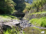 鳥羽川河川公園の写真のサムネイル写真114