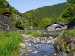 鳥羽川河川公園の写真のサムネイル写真116