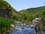 鳥羽川河川公園の写真のサムネイル写真118