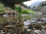 鳥羽川河川公園の写真のサムネイル写真93