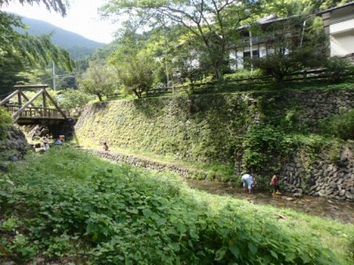 鳥羽川河川公園の写真18