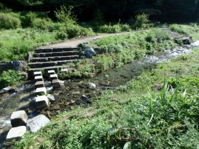 鳥羽川河川公園の写真24