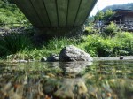 鳥羽川河川公園の写真のサムネイル写真105