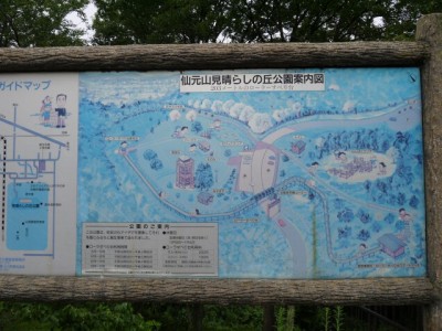 仙元山見晴らしの丘公園の写真