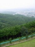 仙元山見晴らしの丘公園の写真のサムネイル写真8