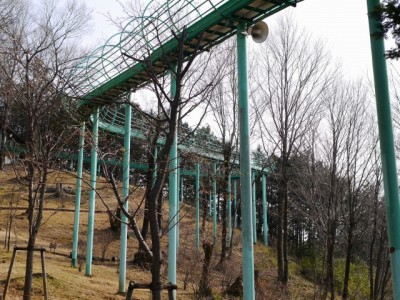 仙元山見晴らしの丘公園の写真（3月の様子）4