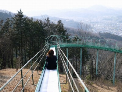 仙元山見晴らしの丘公園の写真（3月の様子）9