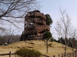 仙元山見晴らしの丘公園の写真のサムネイル写真31