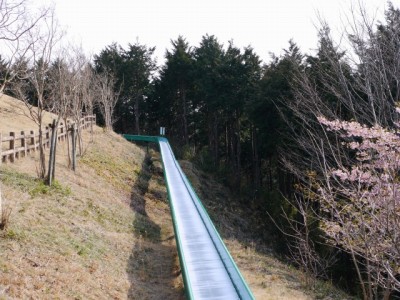 仙元山見晴らしの丘公園の写真（3月の様子）11