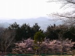 仙元山見晴らしの丘公園の写真のサムネイル写真38