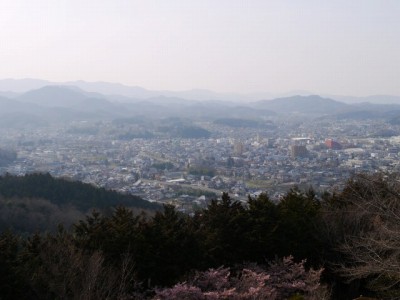 仙元山見晴らしの丘公園の写真（3月の様子）23