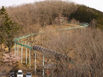 仙元山見晴らしの丘公園の写真（3月の様子）29
