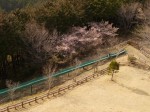 仙元山見晴らしの丘公園の写真のサムネイル写真53