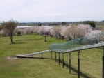 羽生スカイスポーツ公園の写真のサムネイル写真51