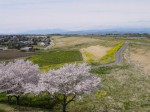 羽生スカイスポーツ公園の写真のサムネイル写真52