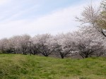 羽生スカイスポーツ公園の写真のサムネイル写真57