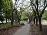 ふれあいの森公園（白岡市）の写真のサムネイル写真7