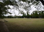 ふれあいの森公園（白岡市）の写真のサムネイル写真8