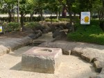 北本総合公園の写真のサムネイル写真11