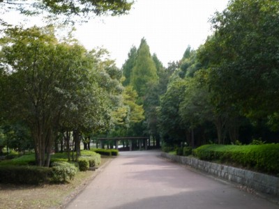 北本総合公園の写真12