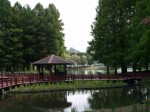 北本総合公園の写真のサムネイル写真13