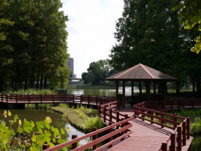 北本総合公園の写真14