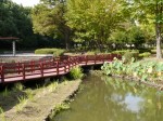 北本総合公園の写真のサムネイル写真18