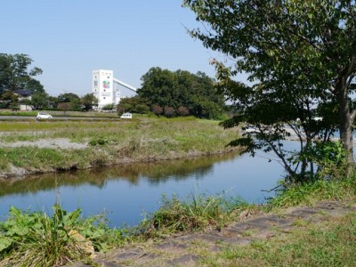阿須運動公園の写真4