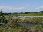 阿須運動公園の写真のサムネイル写真7