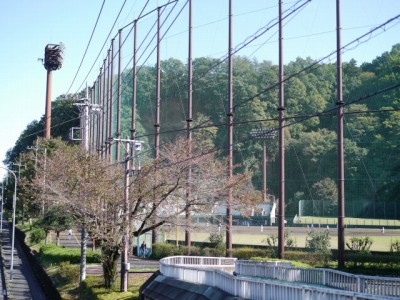 阿須運動公園の写真11