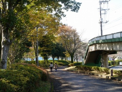 阿須運動公園の写真12