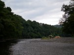 巾着田の写真のサムネイル写真15