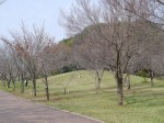 高尾さくら公園の写真のサムネイル写真4