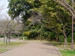 高尾さくら公園の写真のサムネイル写真6