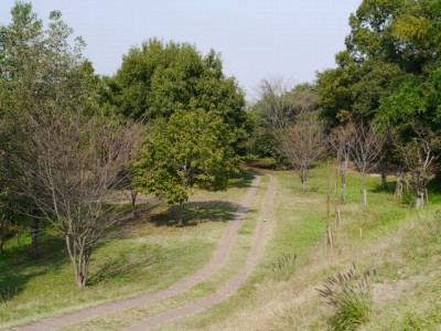 高尾さくら公園の写真7