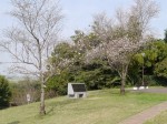 高尾さくら公園の写真のサムネイル写真10