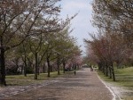 高尾さくら公園の写真のサムネイル写真22