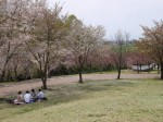 高尾さくら公園の写真のサムネイル写真28