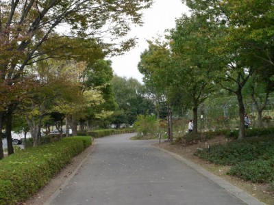 平成の森公園の写真2