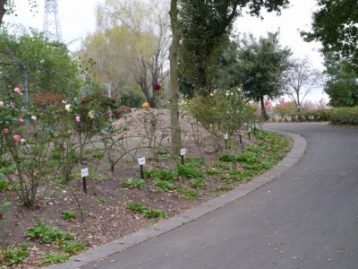 平成の森公園の写真4