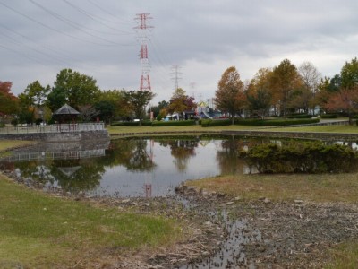 平成の森公園の写真21