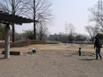 平成の森公園の写真のサムネイル写真36