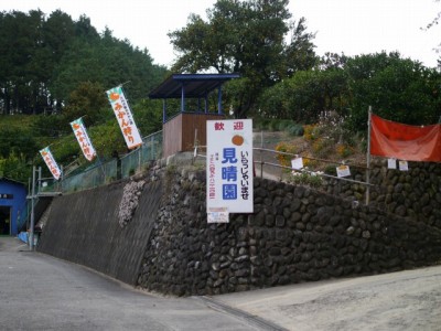 大内沢観光みかん園（見晴園）の写真2