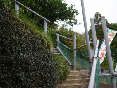 大内沢観光みかん園（見晴園）の写真6