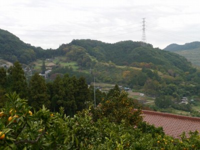 大内沢観光みかん園（見晴園）の写真13