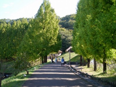 あけぼの子どもの森公園の写真2